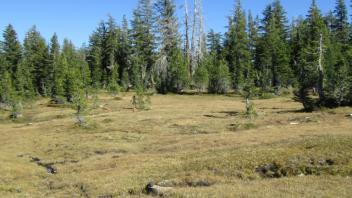 Transect 3 Channel Crossing (left to right)