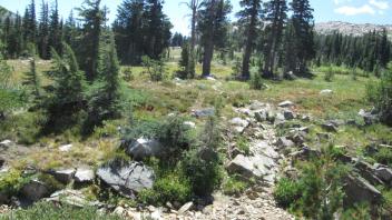 Transect 3 Channel Crossing (left to right)