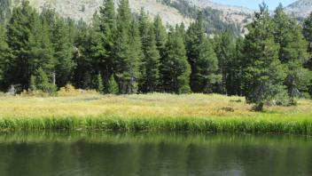 Transect 3 Channel Crossing (left to right)