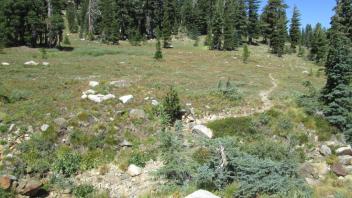 Transect 3 Channel Crossing (right to left)