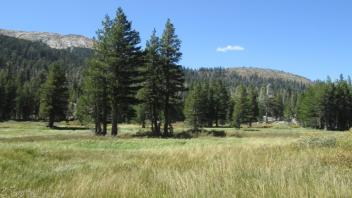 Transect 3 Right End (right to left)