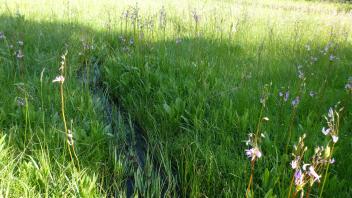 Transect 3 crossing (downstream)