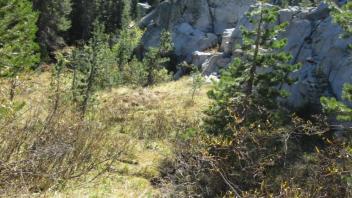 Transect 3, channel 2 crossing right to left