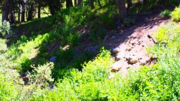 Transect 3, channel right to left
