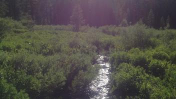 Transect 3, channel right to left