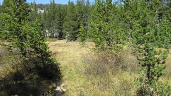 Transect 3, left to right and channel 2 crossing left to right