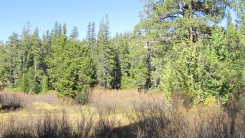 Transect 3, left to right