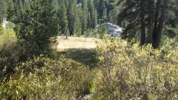 Transect 3, right to left and channel 1 crossing