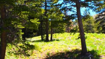 Transect 3, right to left