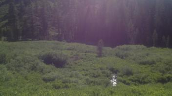 Transect 3, right