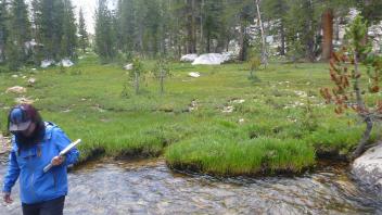 Transect 4 Channel (right to left)