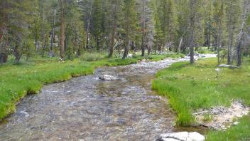 Transect 4 Channel (upstream)