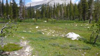 Transect 4 Overview (left to right)