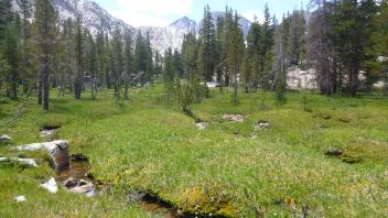 Transect 4 Overview (right to left)