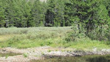 Transect Bottom Channel Crossing (left to right)