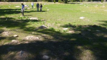 Transect, left to right