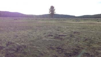 Transect 1 (river left)