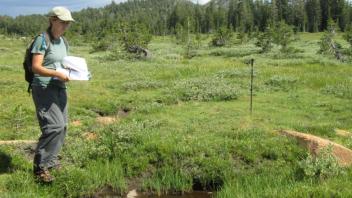 Tributary Channel