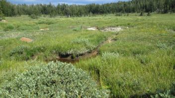 Tributary, flood channel, secondary channel