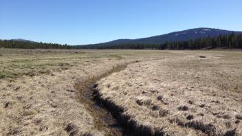 Upper Transect (looking downstream)