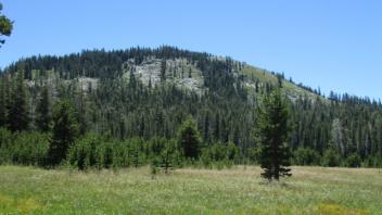 Upper Transect (right to left)