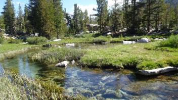 Upper Transect Channel (downstream)