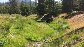 Upper Transect Channel (downstream)
