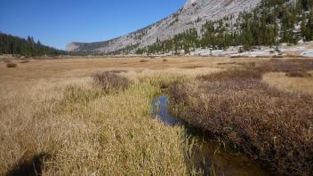 Upper Transect Channel (downstream)