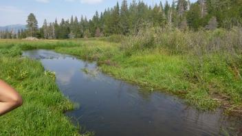 Upper Transect Channel (downstream)