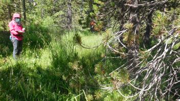 Upper Transect Channel (downstream)