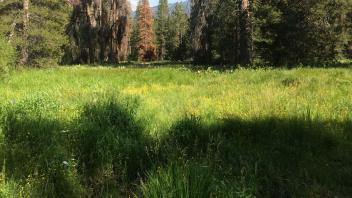 Upper Transect Channel (downstream)