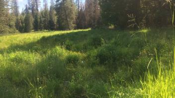 Upper Transect Channel (left to right)