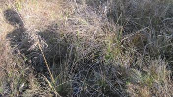 Upper Transect Channel (left to right)