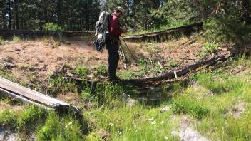 Upper Transect Channel (left to right)
