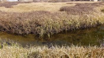 Upper Transect Channel (left to right)