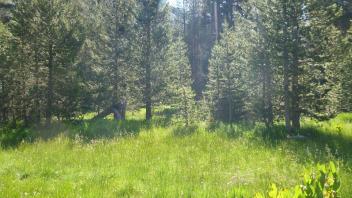 Upper Transect Channel (left to right)