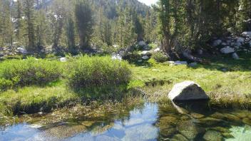 Upper Transect Channel (left to right)