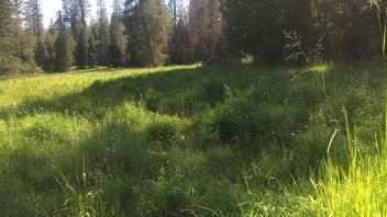 Upper Transect Channel (left to right)