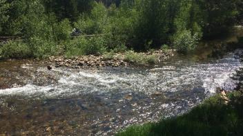 Upper Transect Channel (left to right)