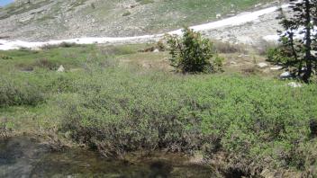 Upper Transect Channel (left to right)