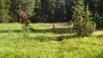 Upper Transect Channel (left to right)