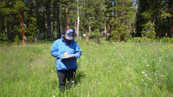 Upper Transect Channel (left to right)