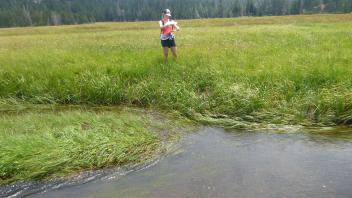 Upper Transect Channel (left to right)
