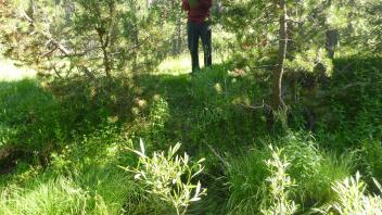 Upper Transect Channel (left to right)