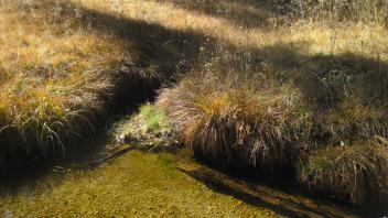 Upper Transect Channel (right to left)