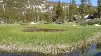 Upper Transect Channel (right to left)