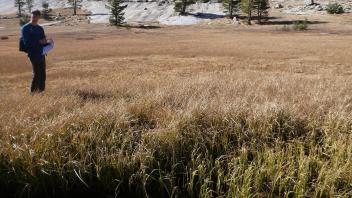Upper Transect Channel (right to left)