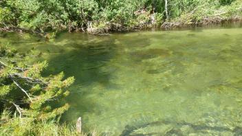 Upper Transect Channel (right to left)