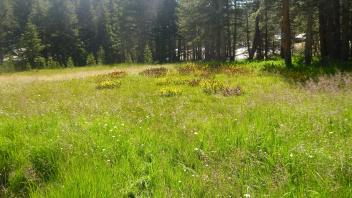 Upper Transect Channel (right to left)