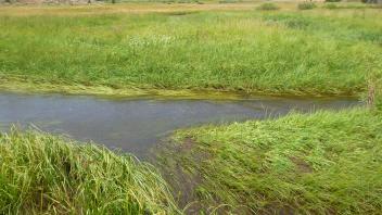Upper Transect Channel (right to left)